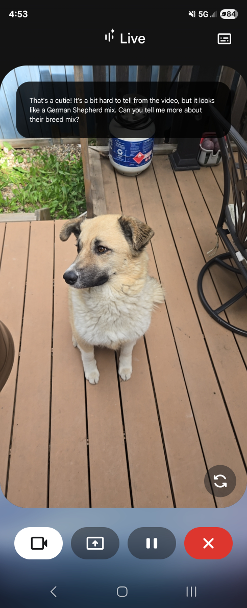 Eddie profile