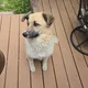 Eddie profile