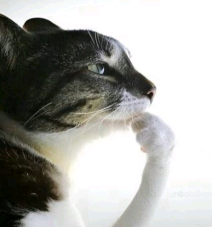 jack profile