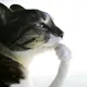 jack profile