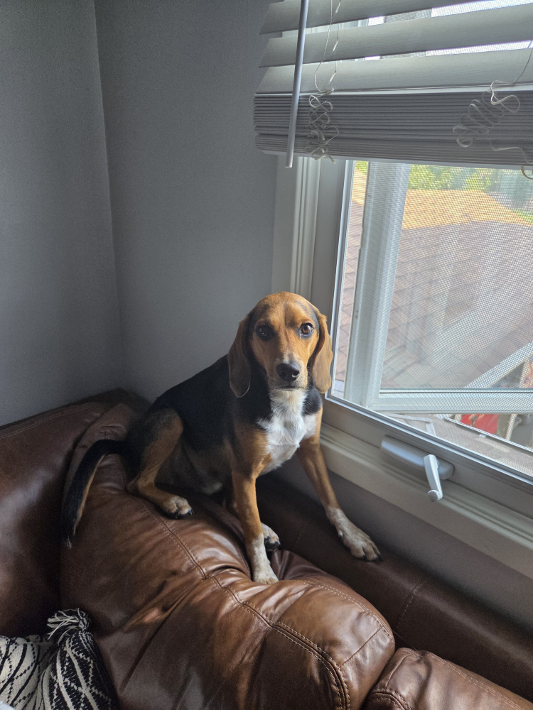 Nate Laforme profile