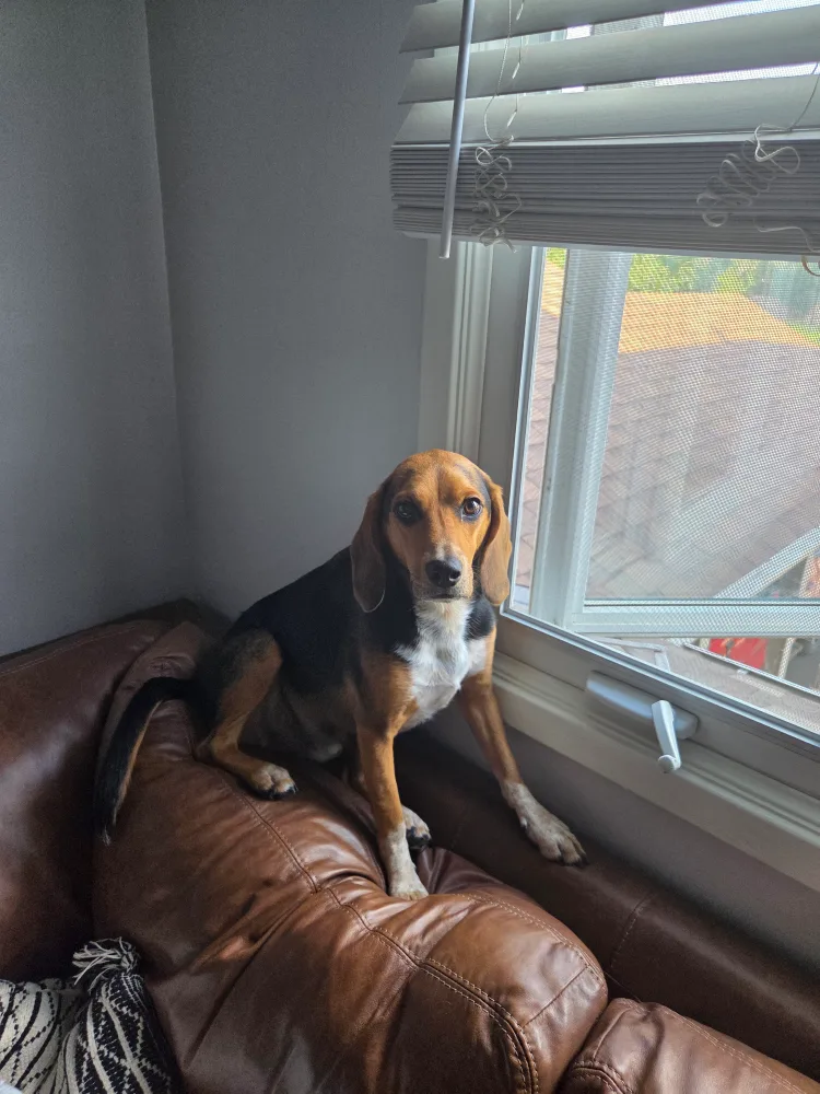 Nate Laforme profile