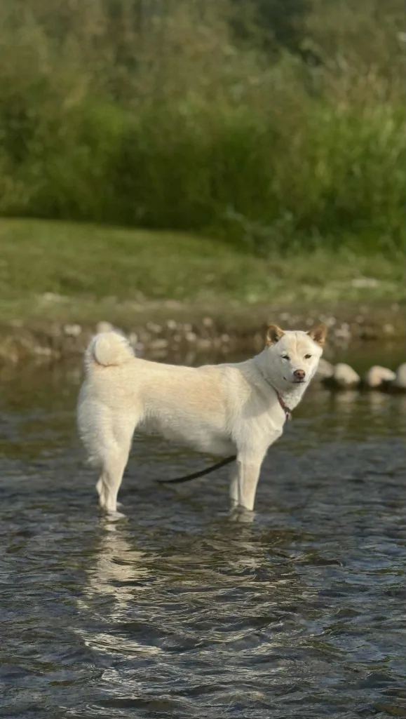 Erin Francis profile