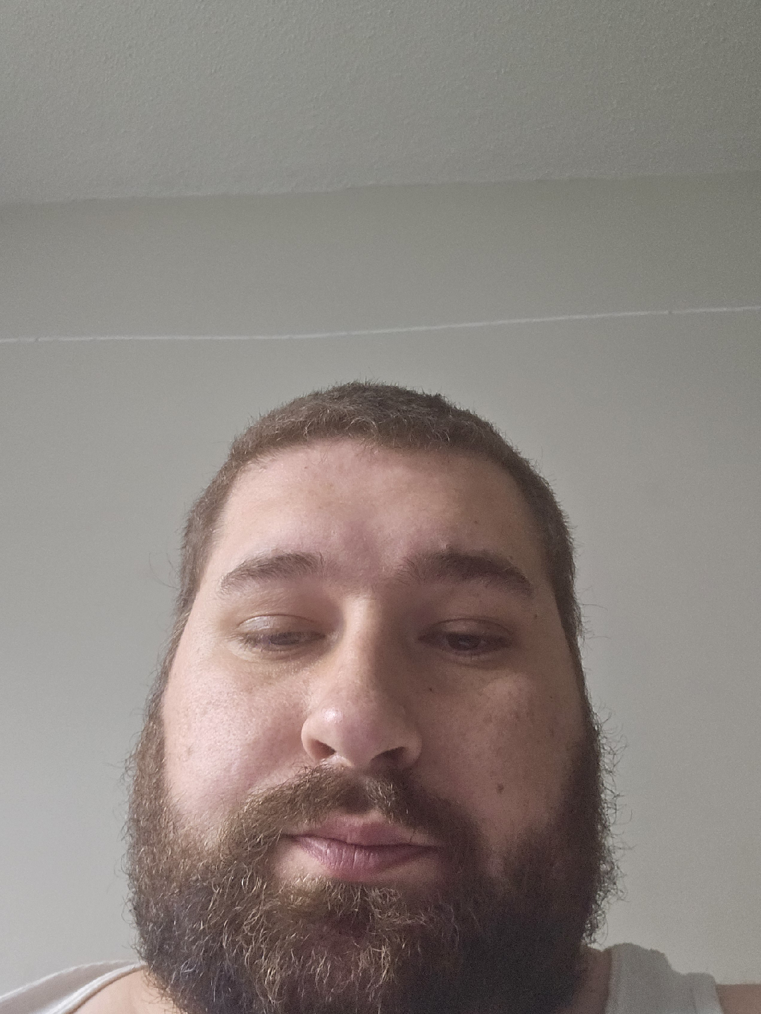 sean profile