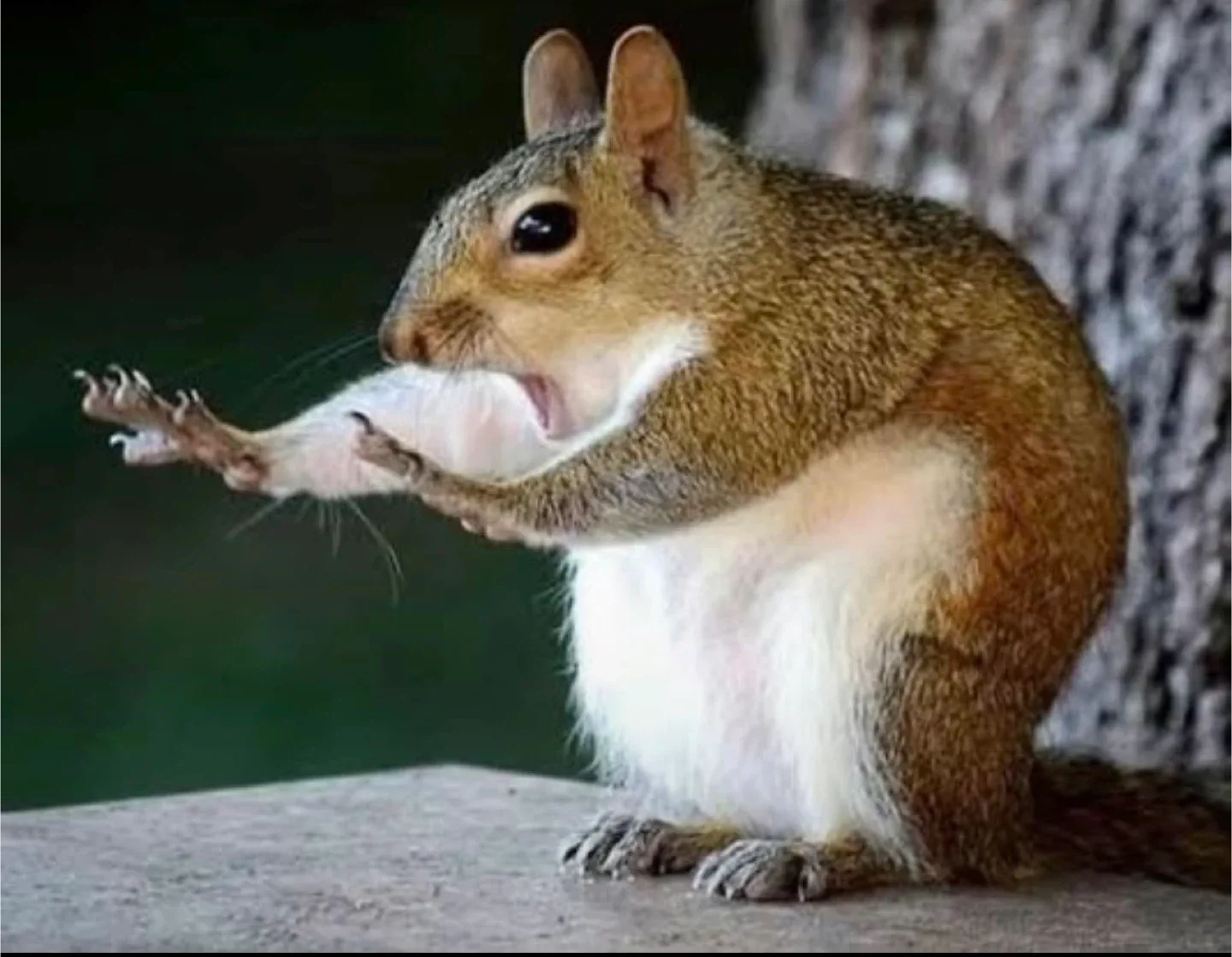 Jencarlos Delgado profile