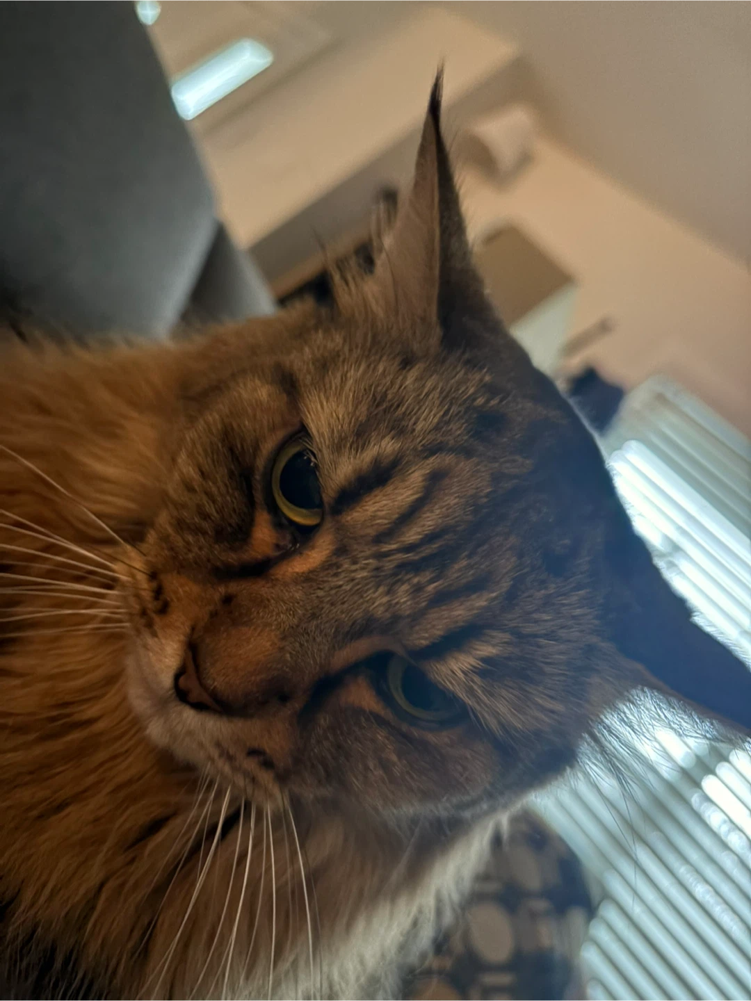 Evan profile