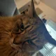 Evan profile
