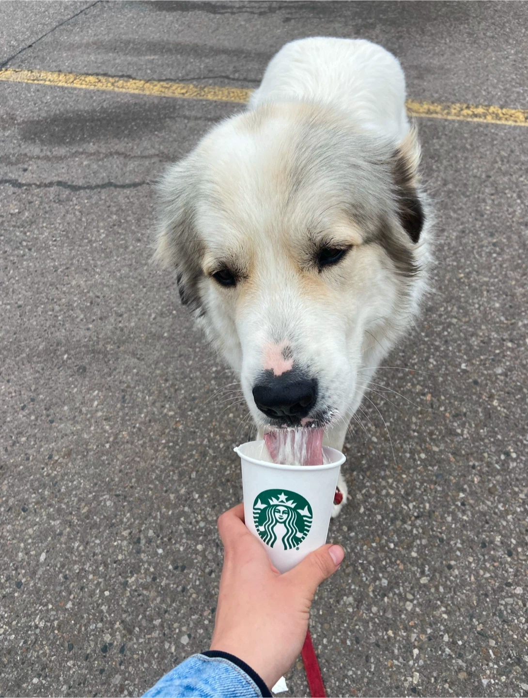 Cafetiti profile