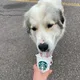 Cafetiti profile