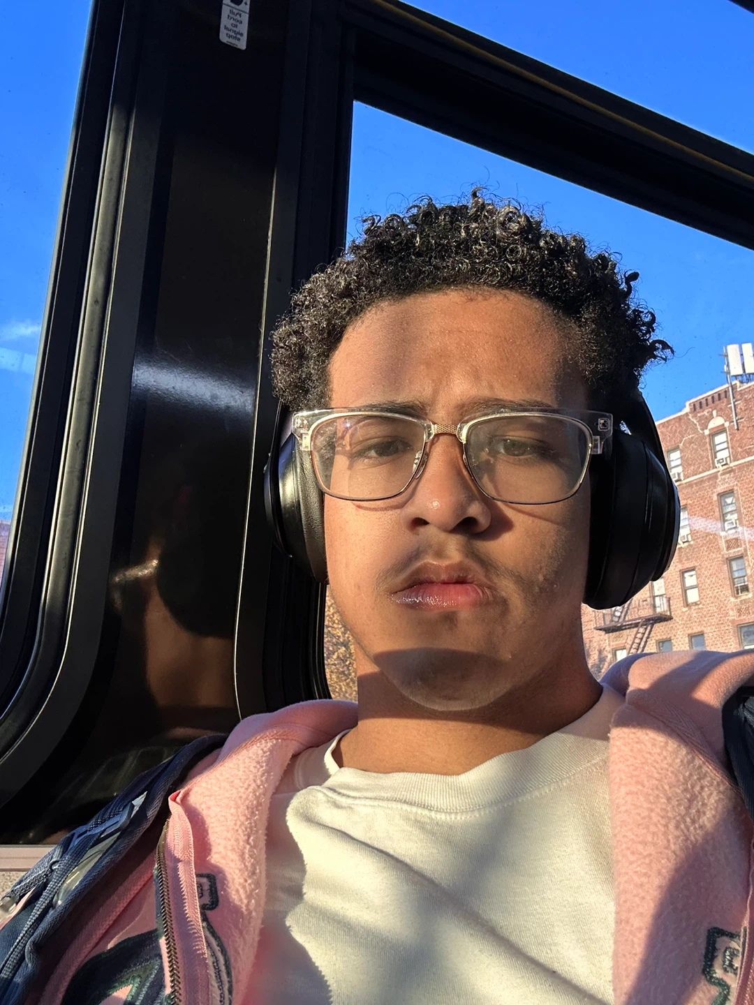Luis profile