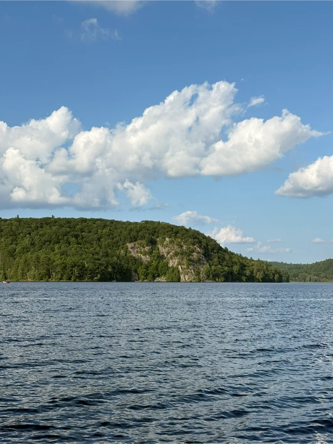 Fredso wowzers profile