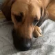 Savannah profile