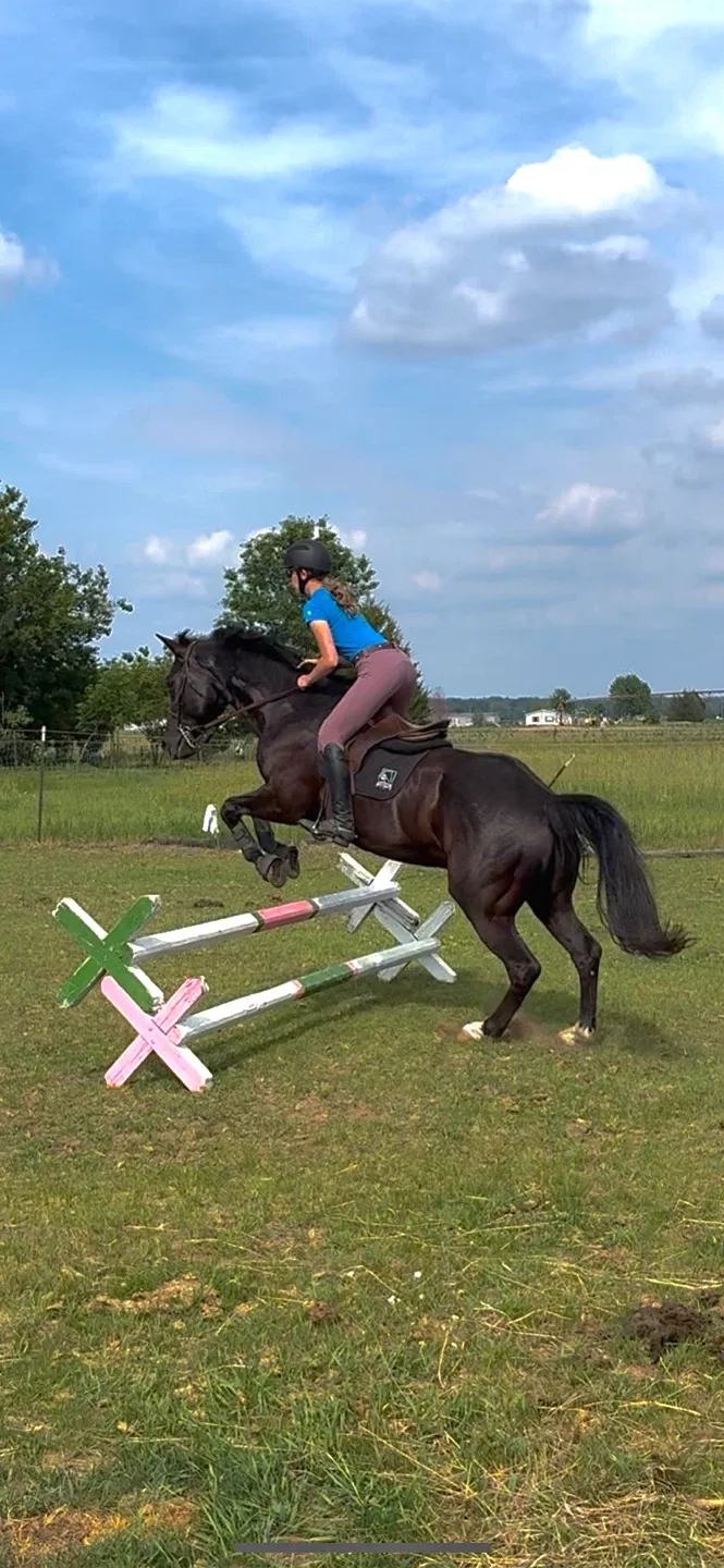 Michelle Renee profile