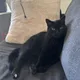 Mazzy profile