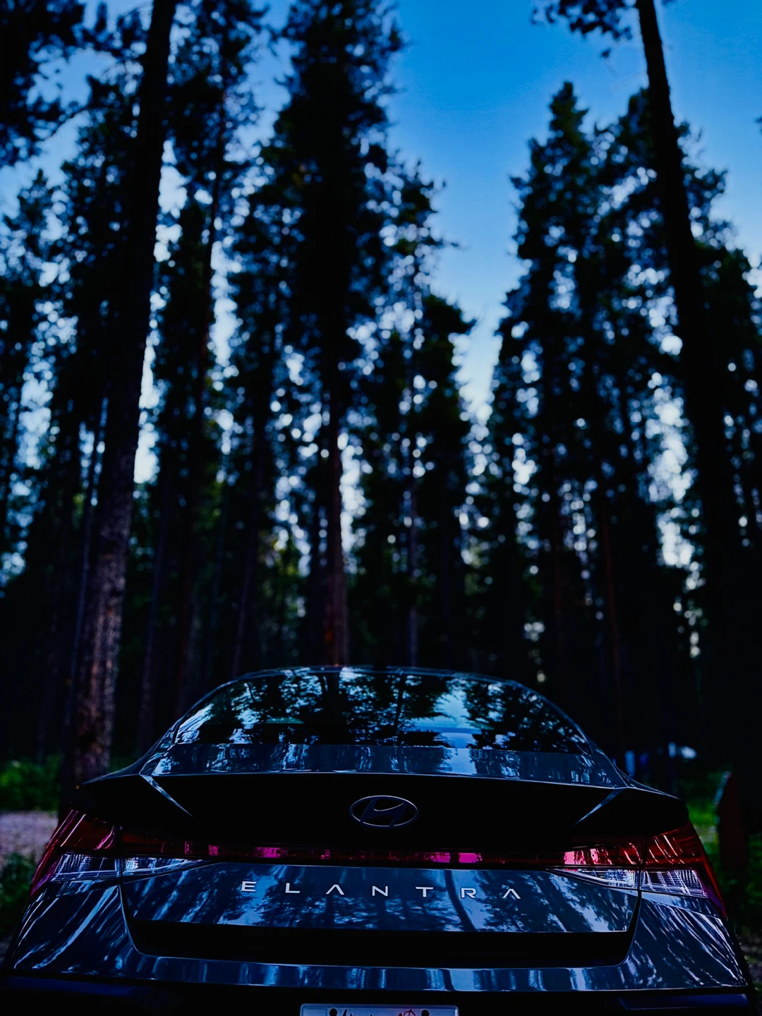 Seebu profile