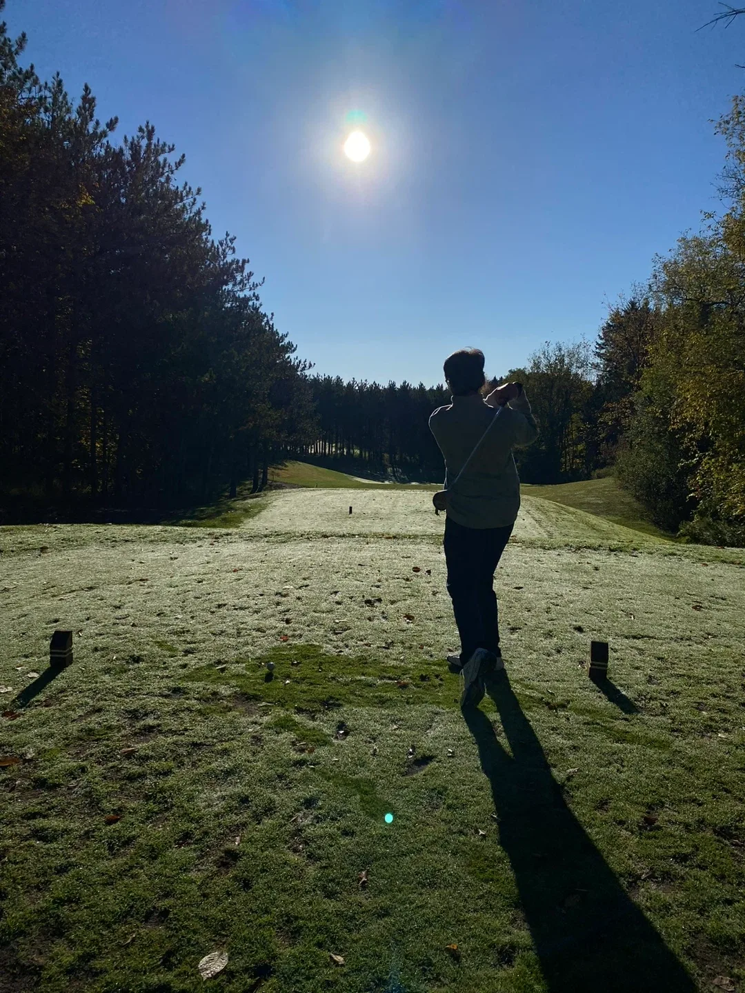 Jaiden Gismondi profile