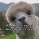 Serrar profile