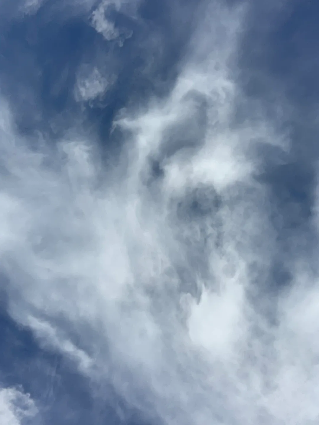 Tumininu Owowole profile