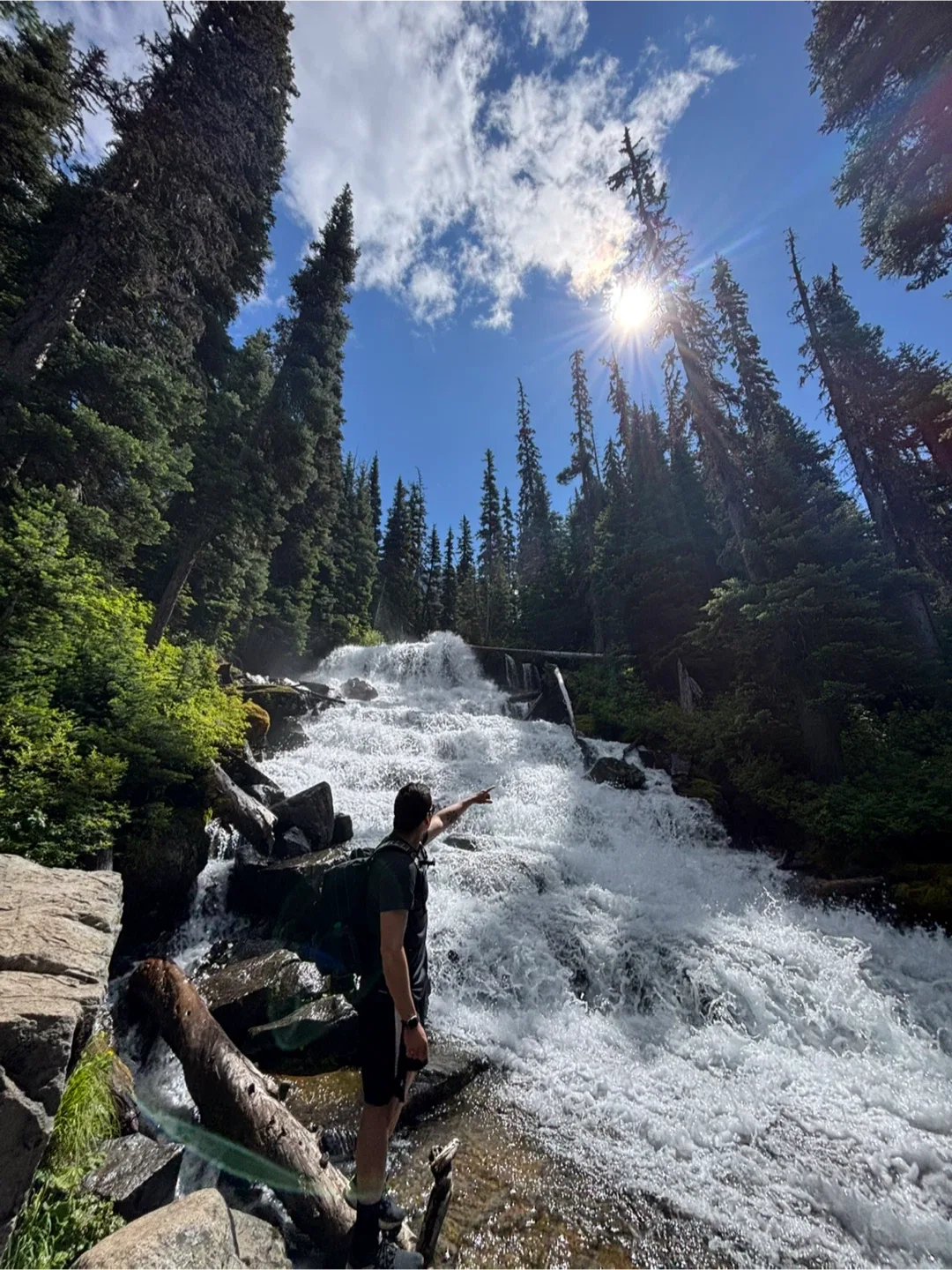 Alfonso Silva profile