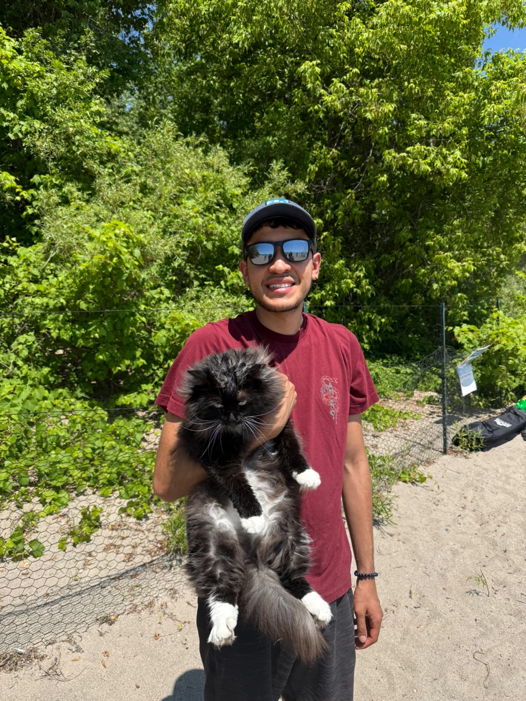 Daniel Sanchez profile