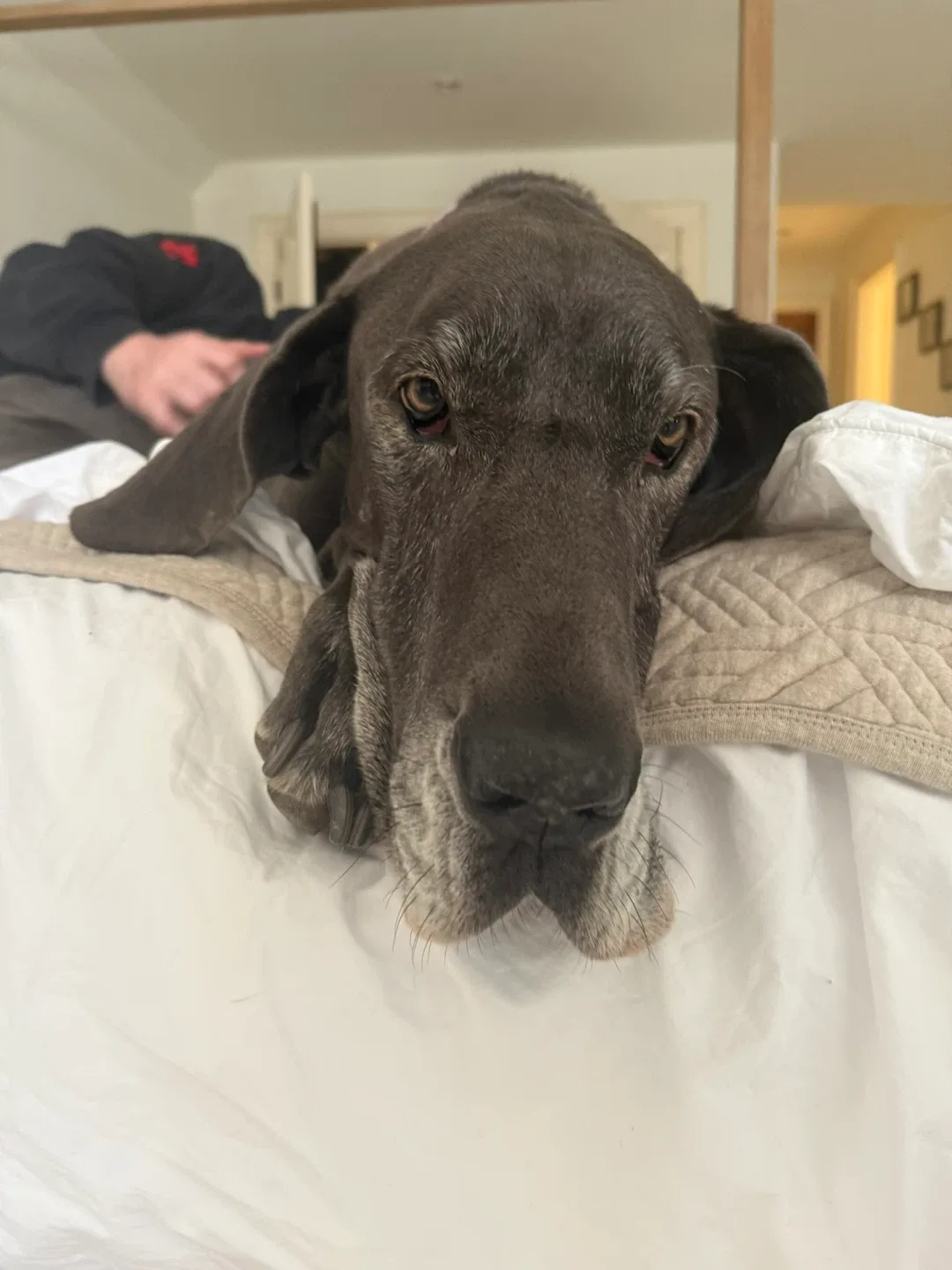 Gabby Drouffy profile