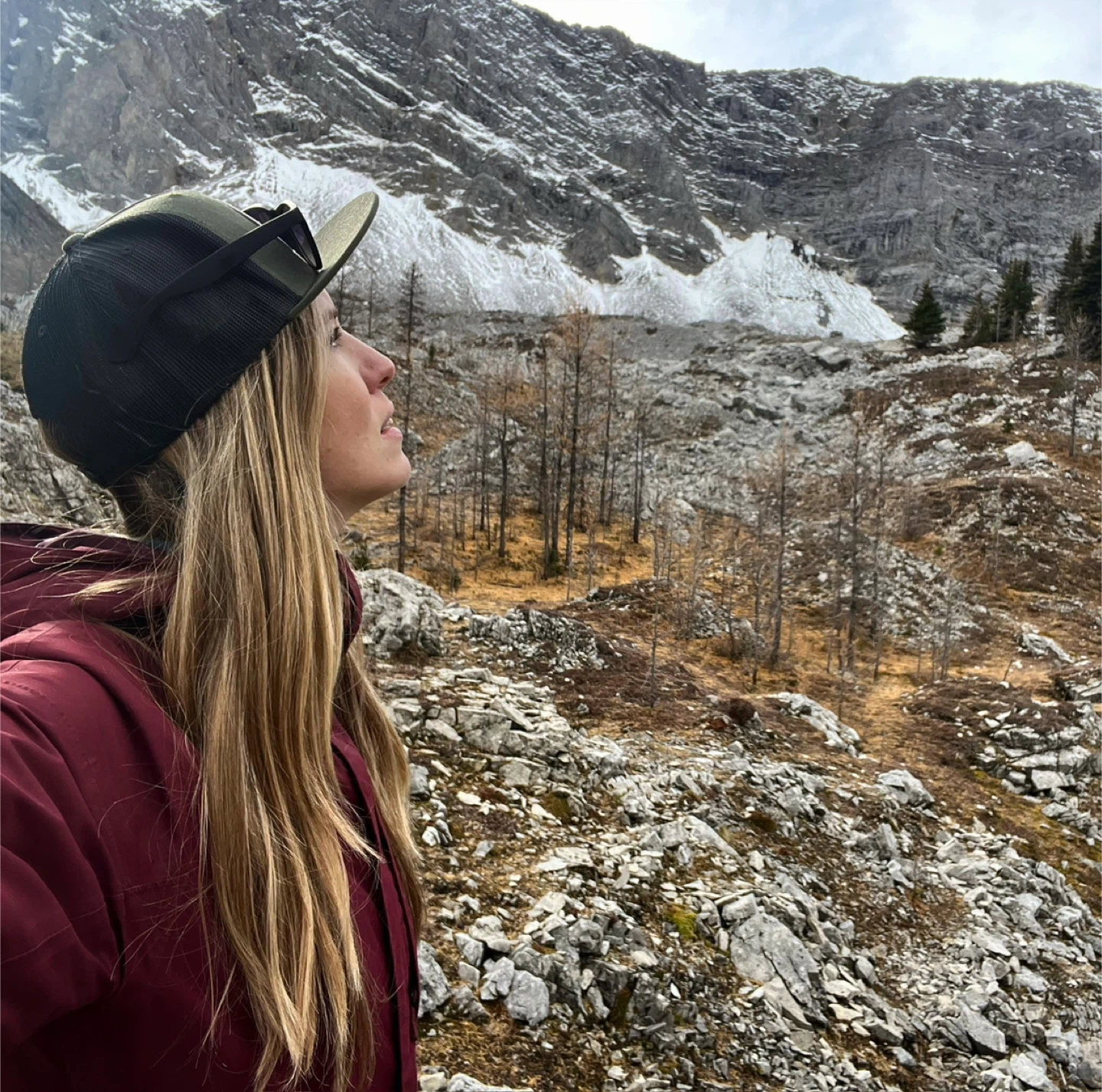 Linder profile