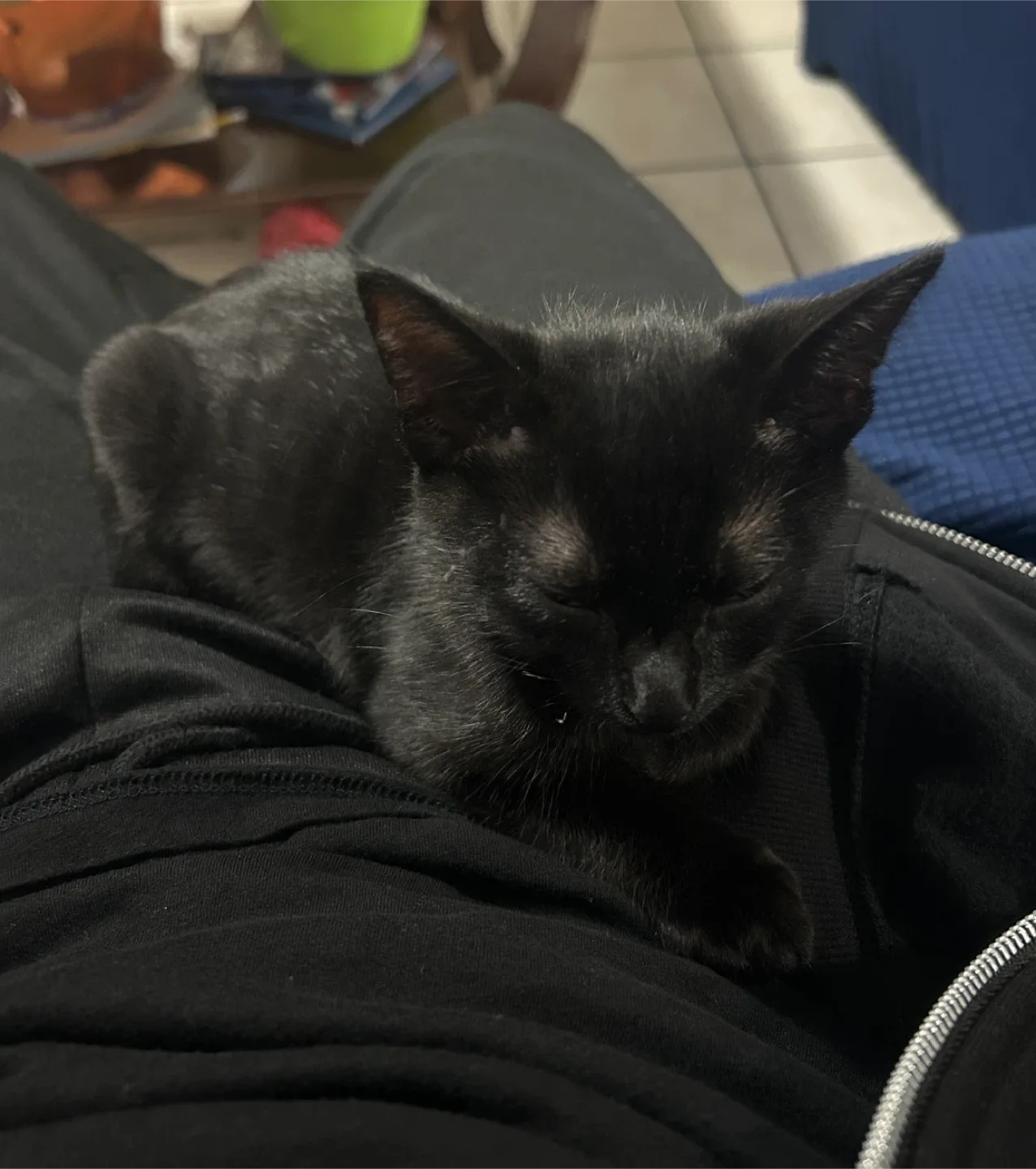 Axel Jacinto profile