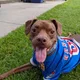 Vee profile