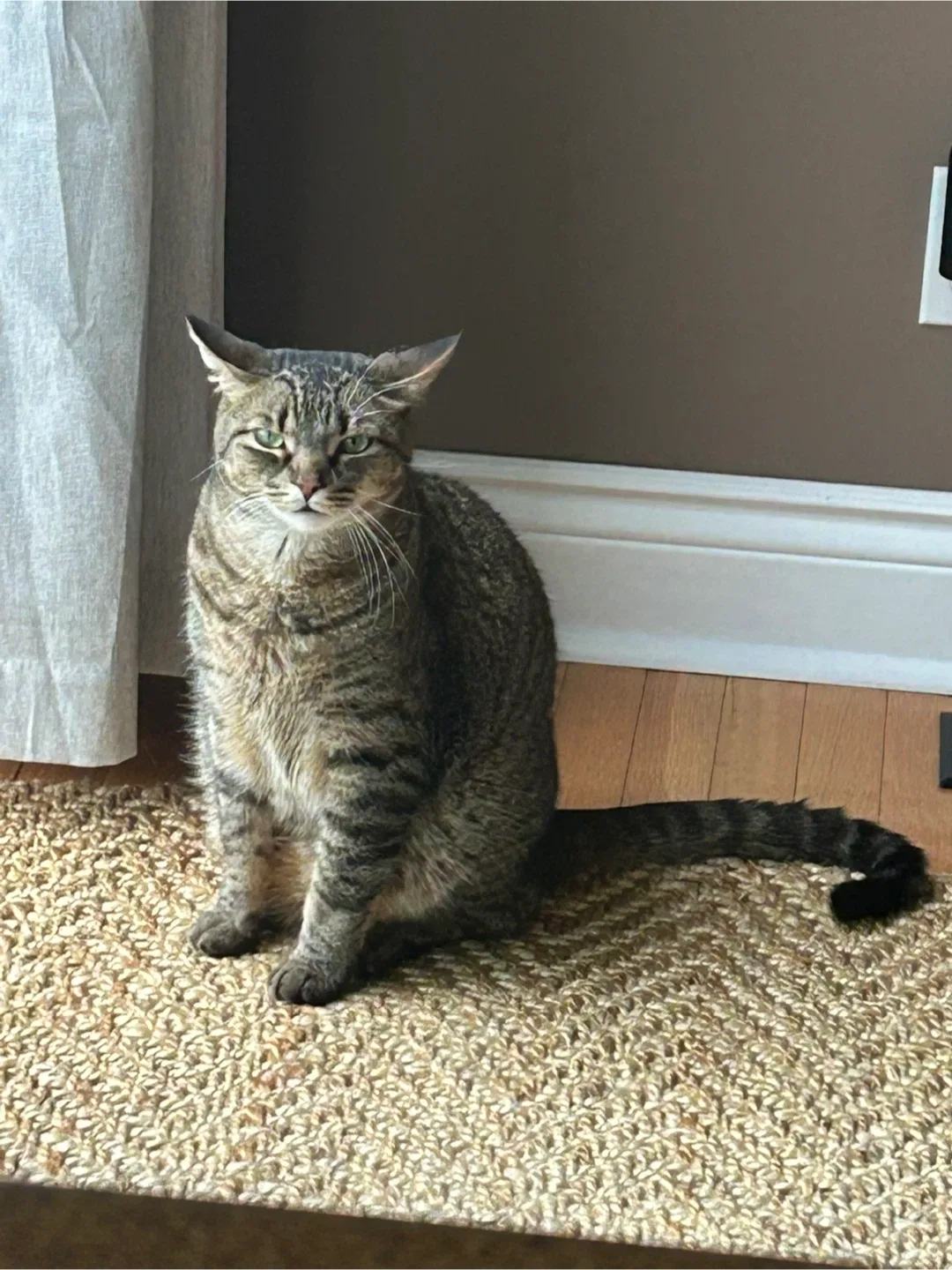 Abby Souchereau profile