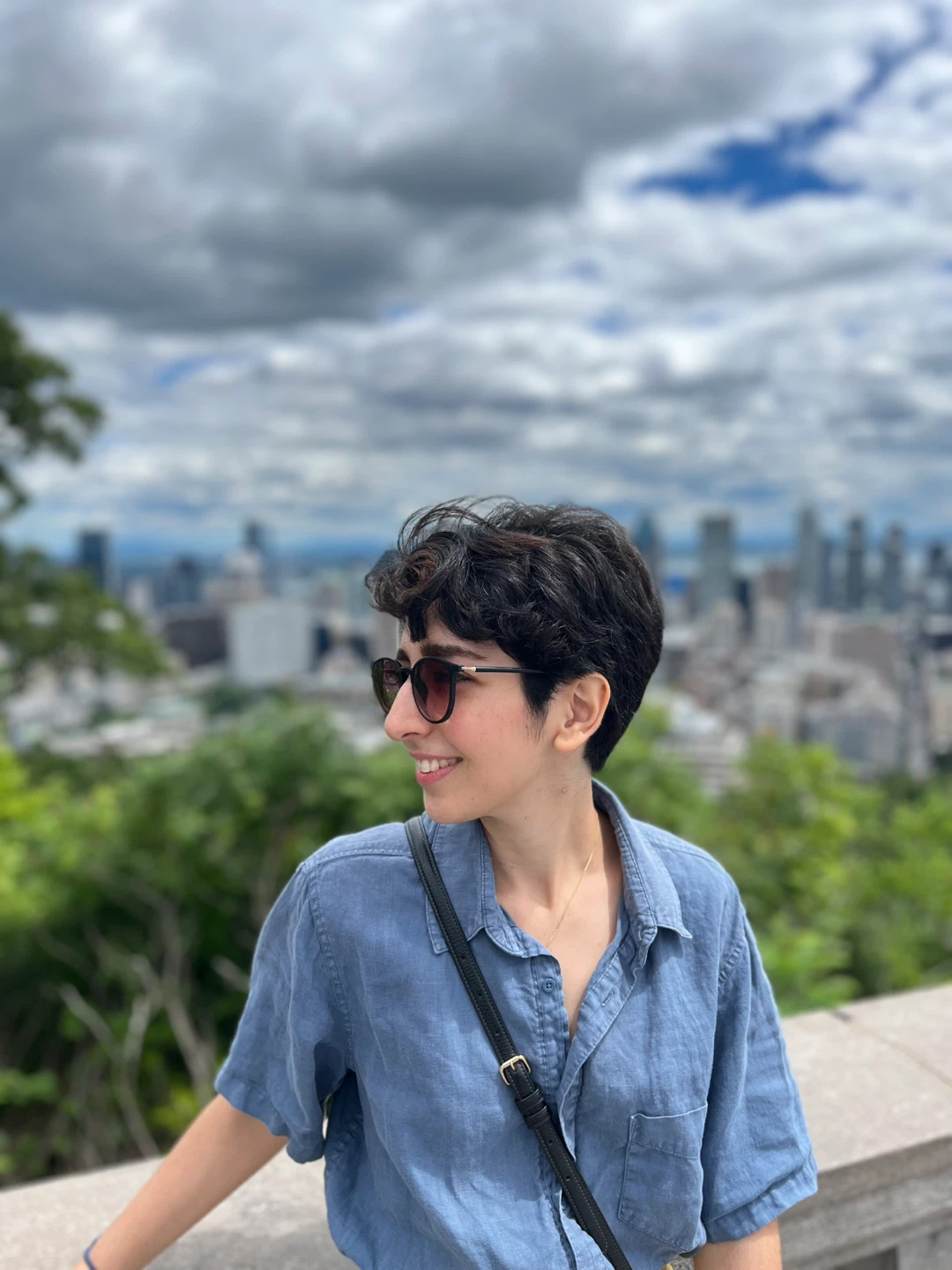 Nadi profile