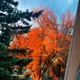 Mq profile