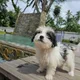 Ros profile