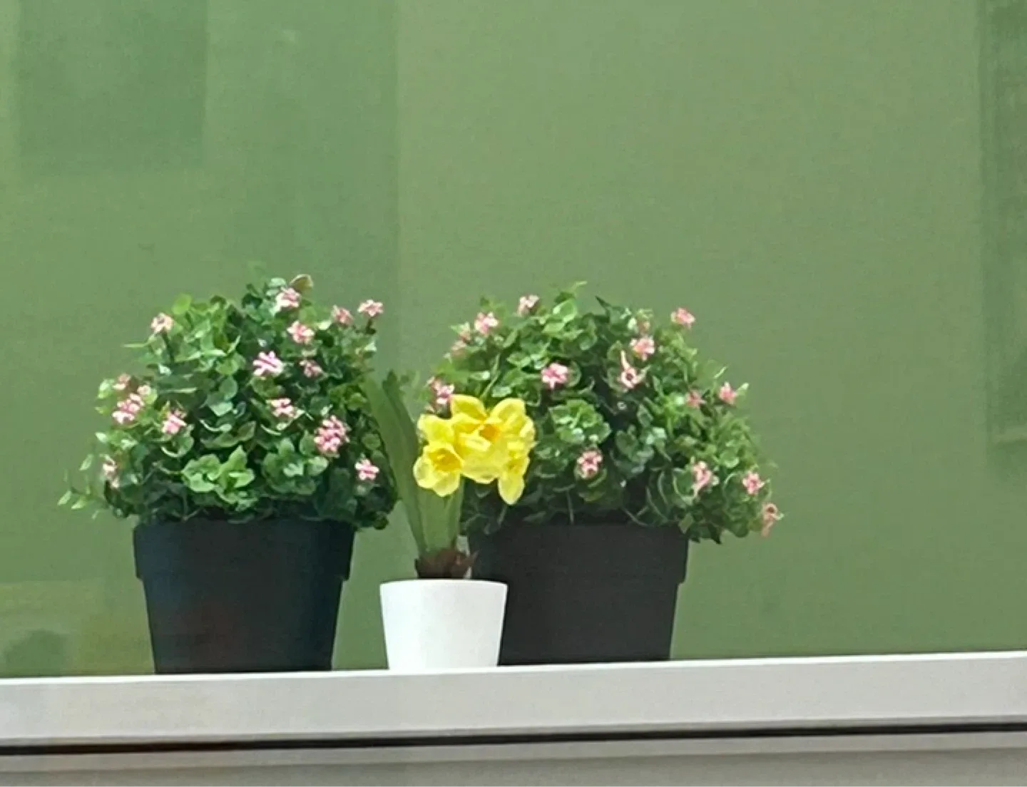 Trusted sellers corp profile