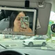 Julia profile