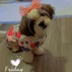 Nana WU profile