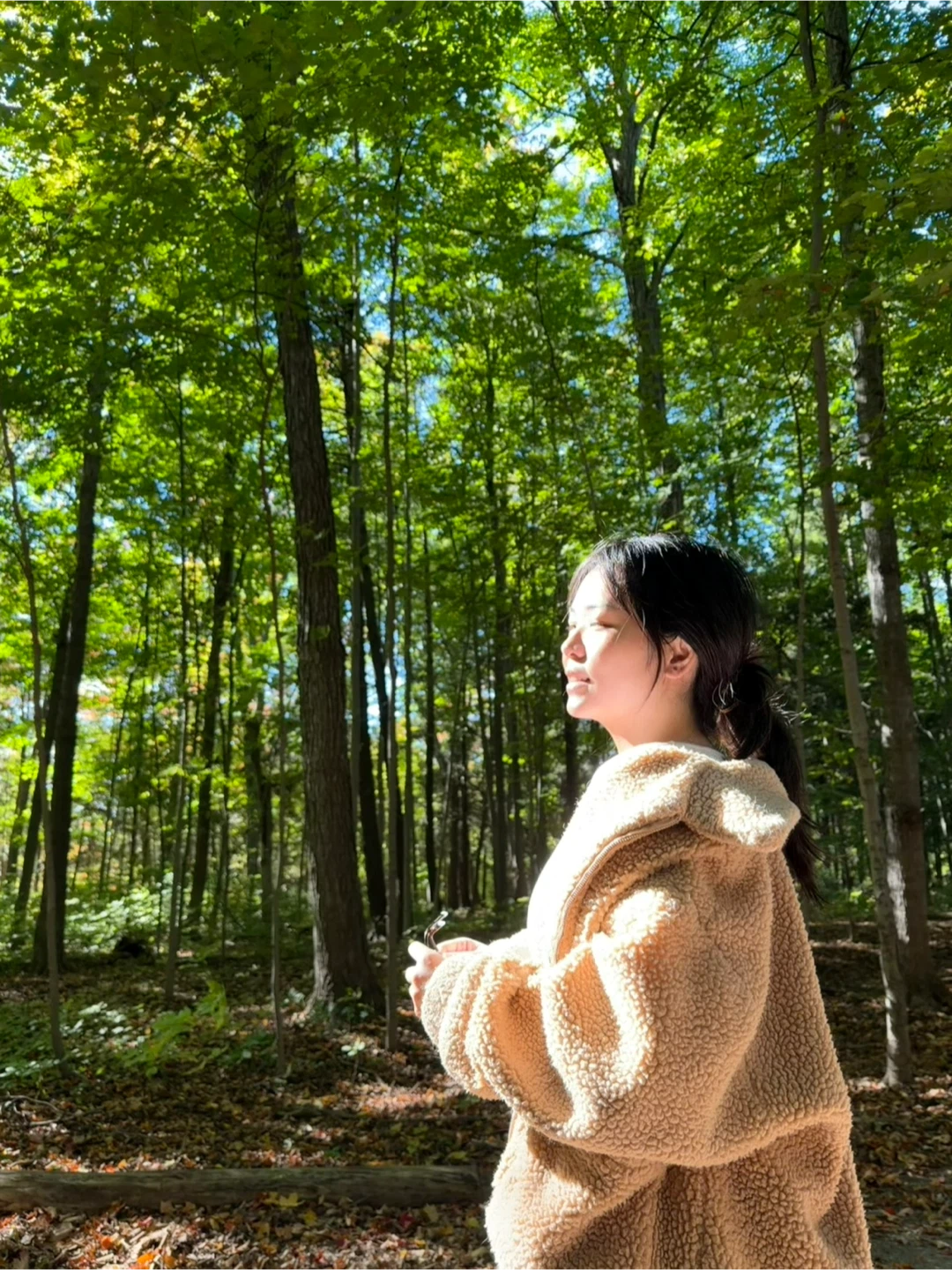 Carina profile