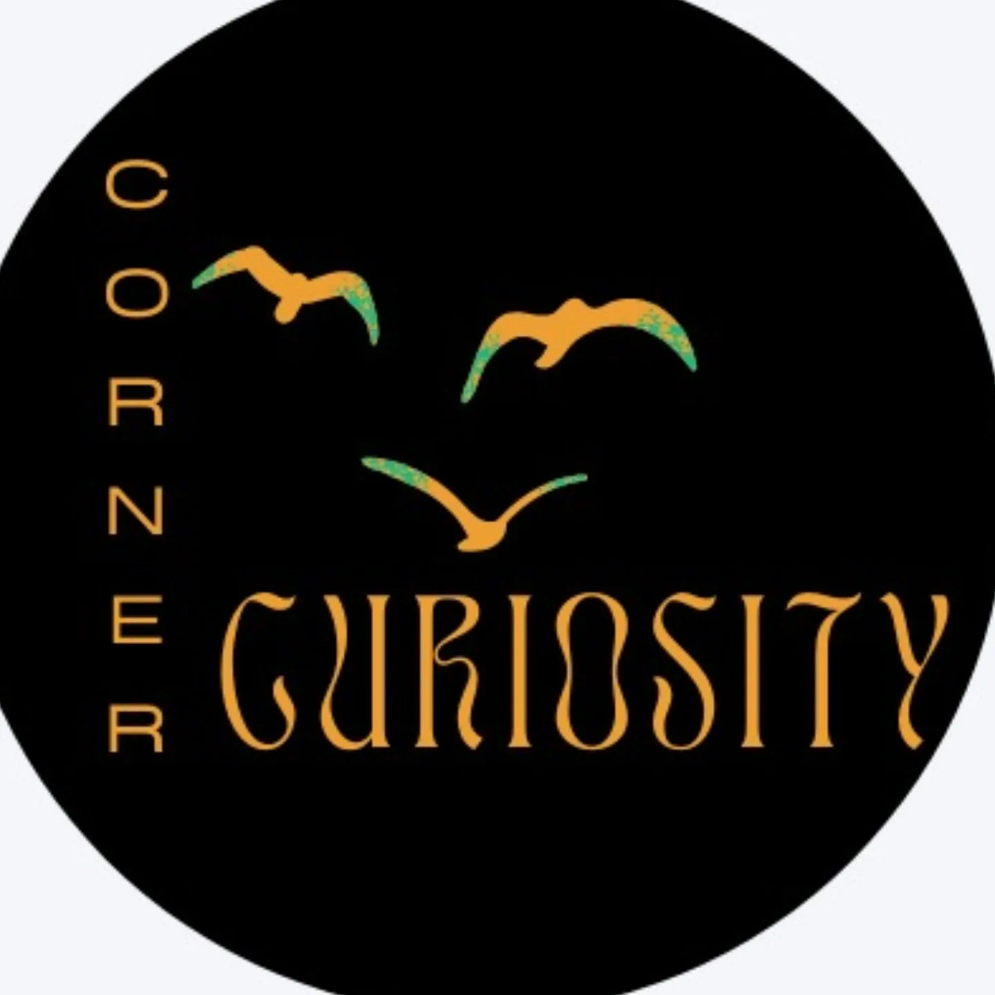 Corner Curiosity profile