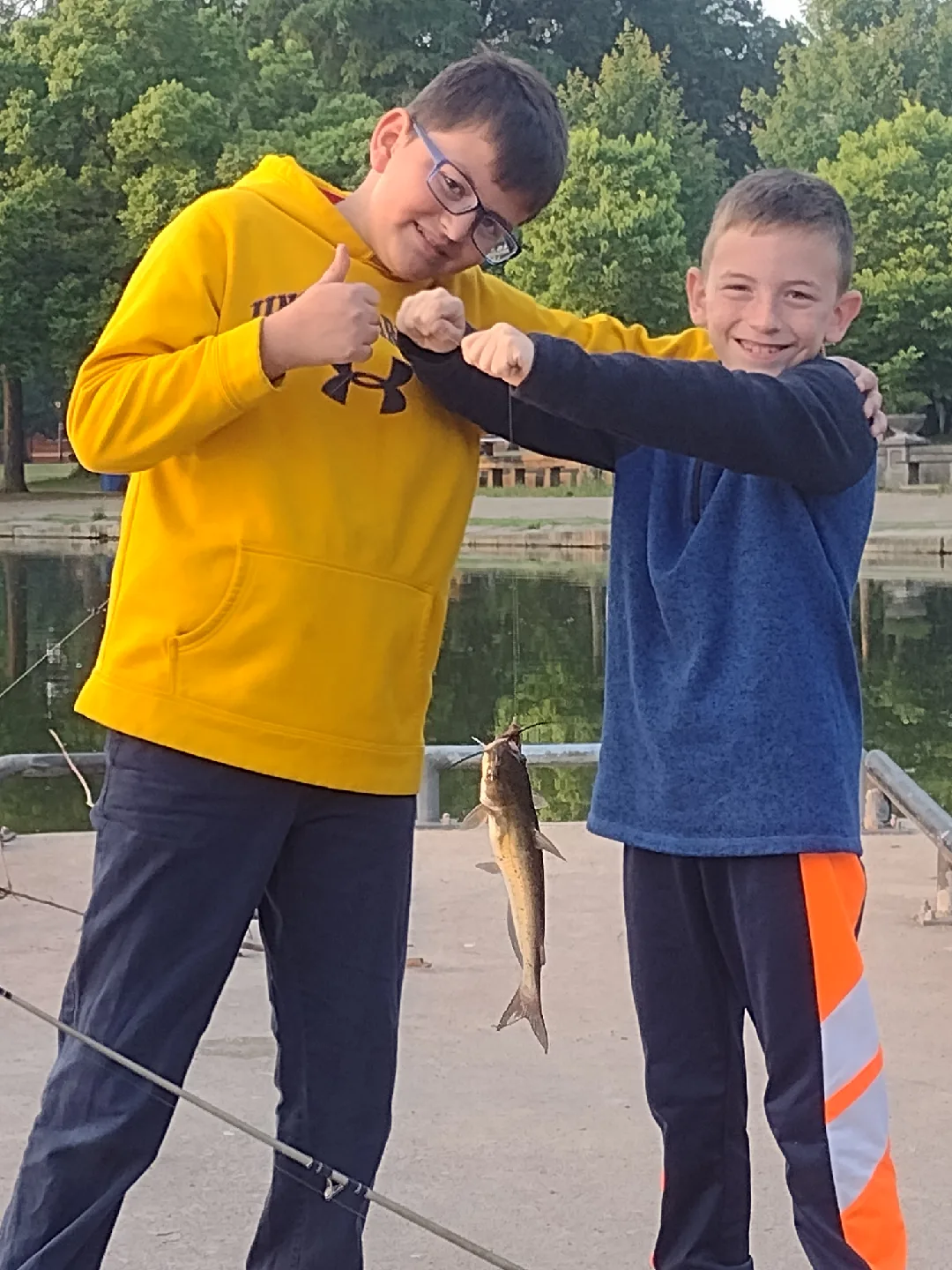 cards n toys profile