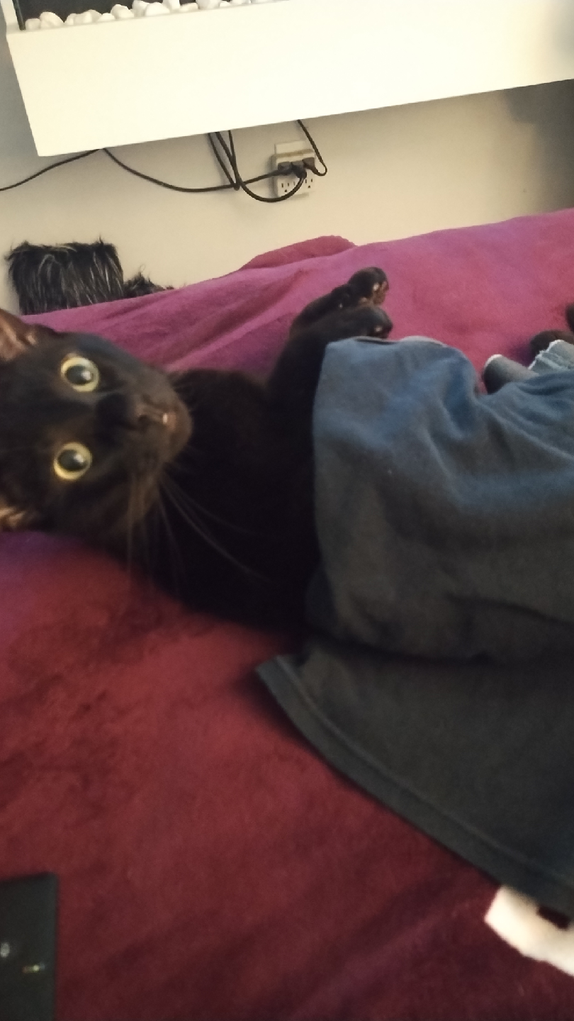 Mo