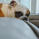 RyRy profile