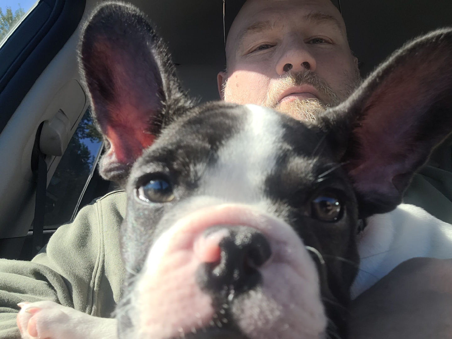 Anthony profile