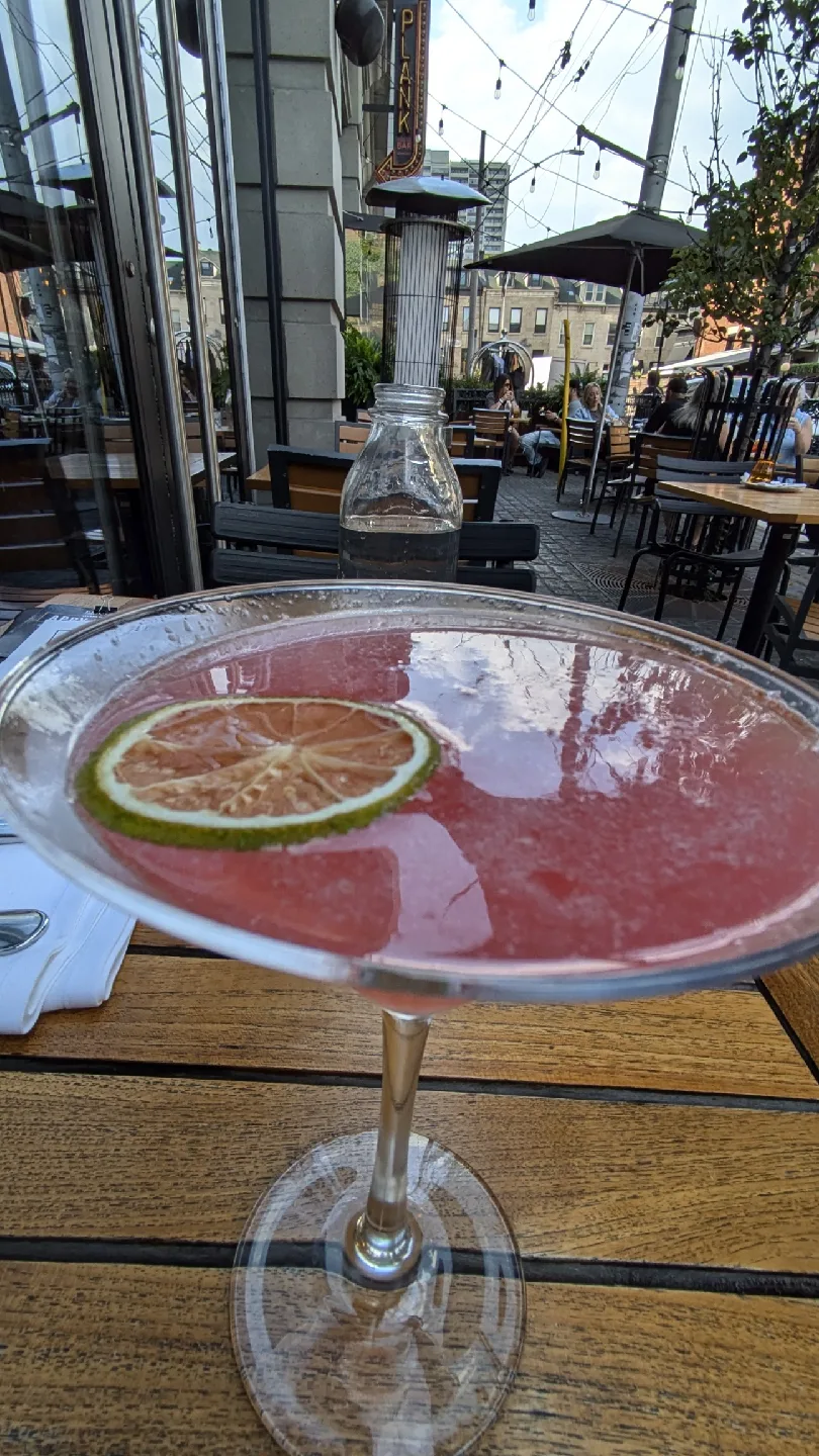 Shelley Carrot profile