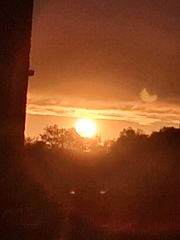 Timeless Collections profile