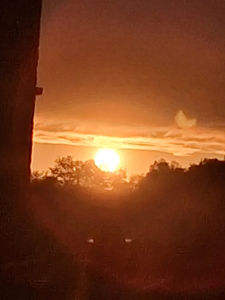 Timeless Collections profile