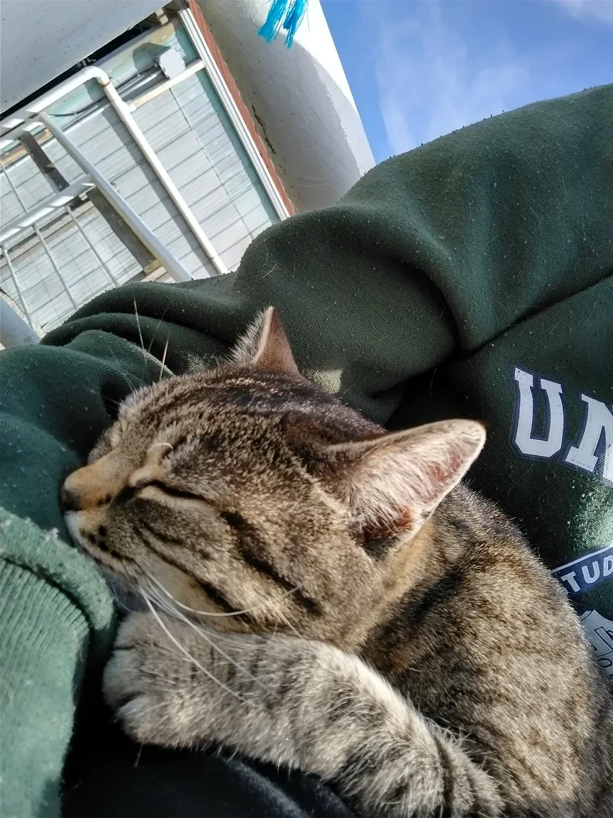 Benjamin Brown profile