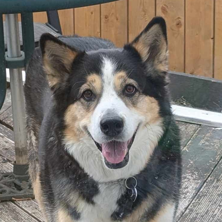 Sam profile