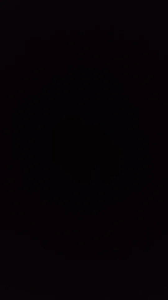 Ethan Willing profile