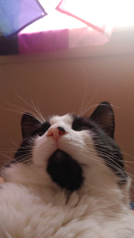 Wynnie profile