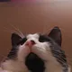Wynnie profile