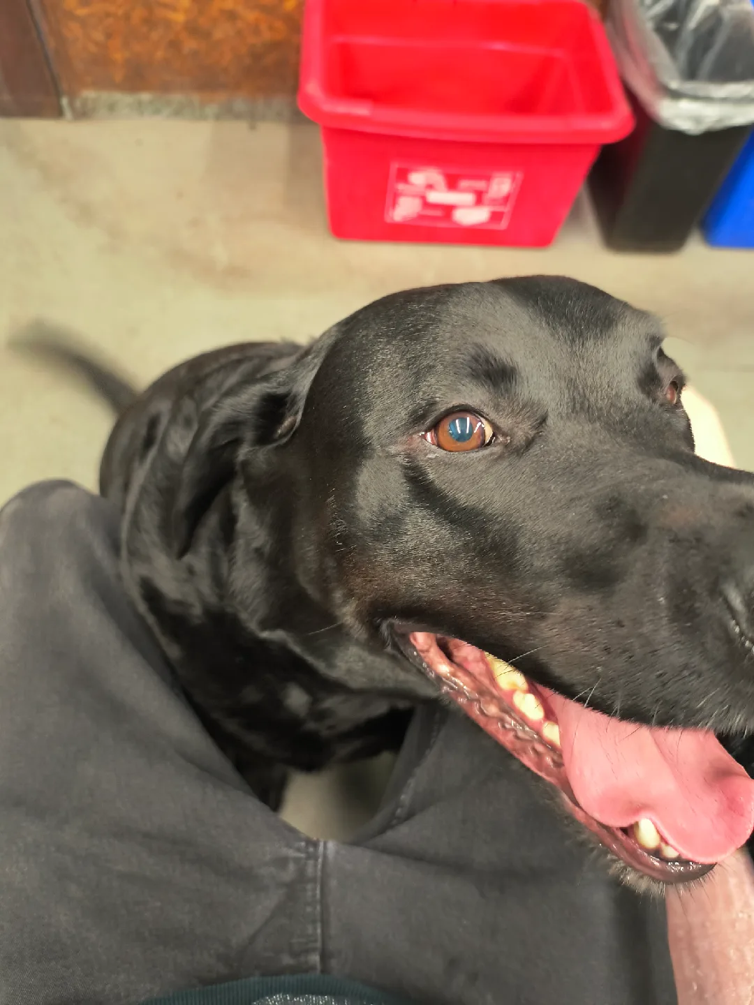 Frank Soccini profile